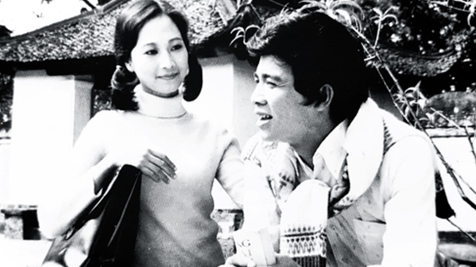 Hà Nội Mùa Chim Làm Tổ Hà Nội Mùa Chim Làm Tổ