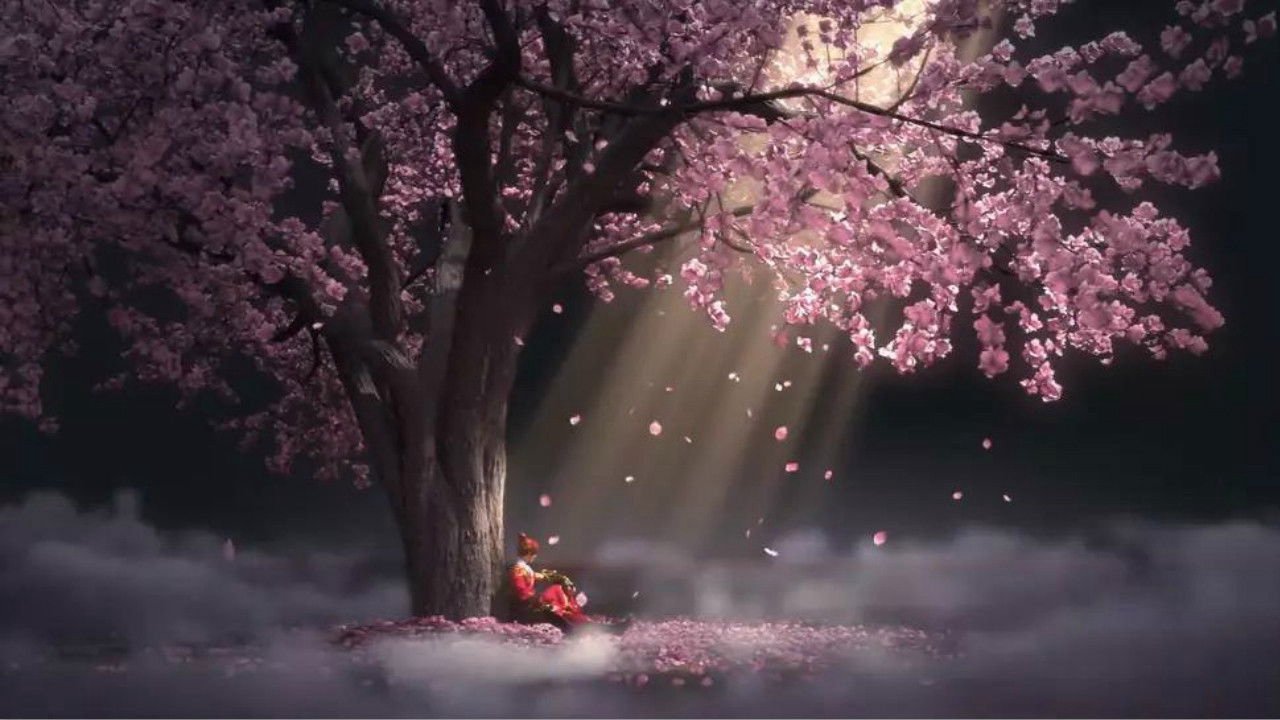 Thiếu Niên Cẩm Y Vệ (Phần 2) Thiếu Niên Cẩm Y Vệ (Phần 2)