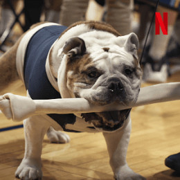 Dogs (Season 2)