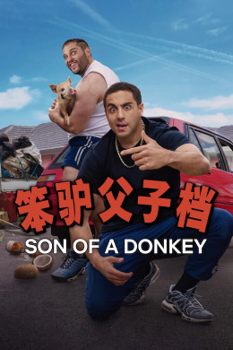 Son Of A Donkey Son Of A Donkey
